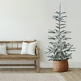thumbnail image 1 of 9' Flocked Noble Fir Artificial Christmas Tree - Unlit, 1 of 9