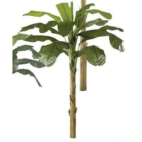 9 Foot Banana Palm - Green