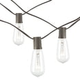 thumbnail image 1 of 9-Foot Long Electric LED Patio Light Strings with 10 ST40 Bulbs, 1 of 7
