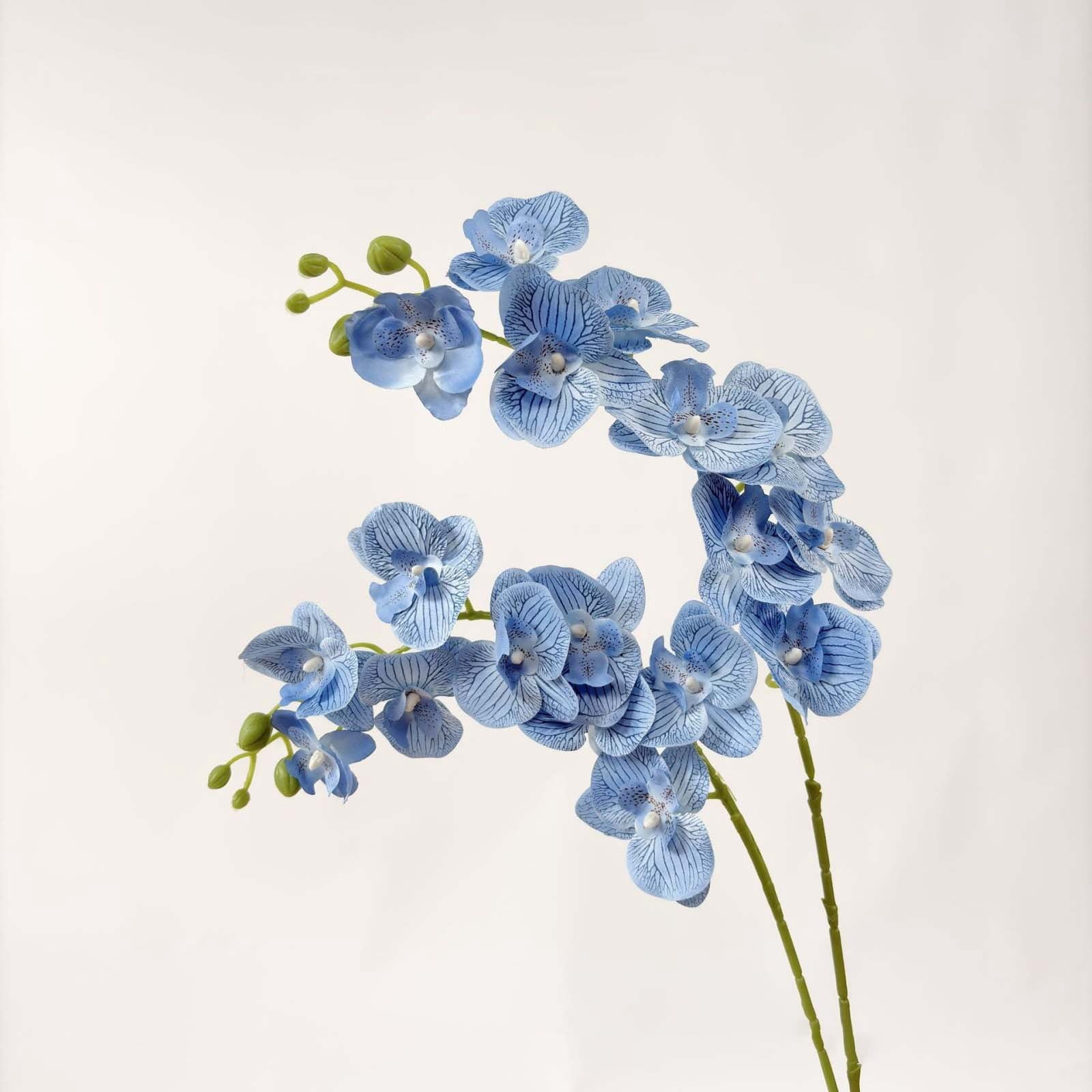 9-Head Artificial Phalaenopsis Orchid 69cm - Cloth & PU High