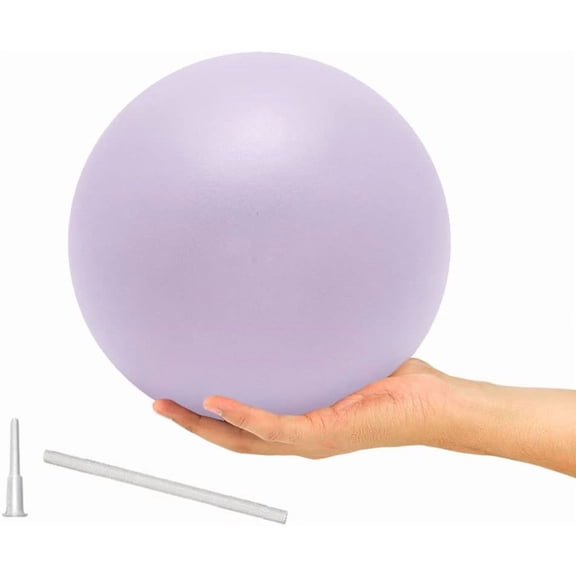 9 Inch Exercise Pilates Ball Mini Exercise Barre Ball for Yoga,Stability Exercise Training Gym Anti Burst and Slip Resistant Balls Physical Therapy Improves Balance, Core Strength