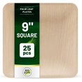 9 Inch Square Plates 25 Pcs Disposable Plates For Party Like 9-inch-square-plates-25-pcs-disposable-plates-for-party-like