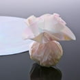 thumbnail image 1 of 9" Iridescent Rounds, 1 of 1
