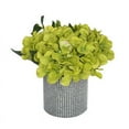 thumbnail image 1 of 9" Light Green Hydrangea in Rnd Vase, 1 of 1
