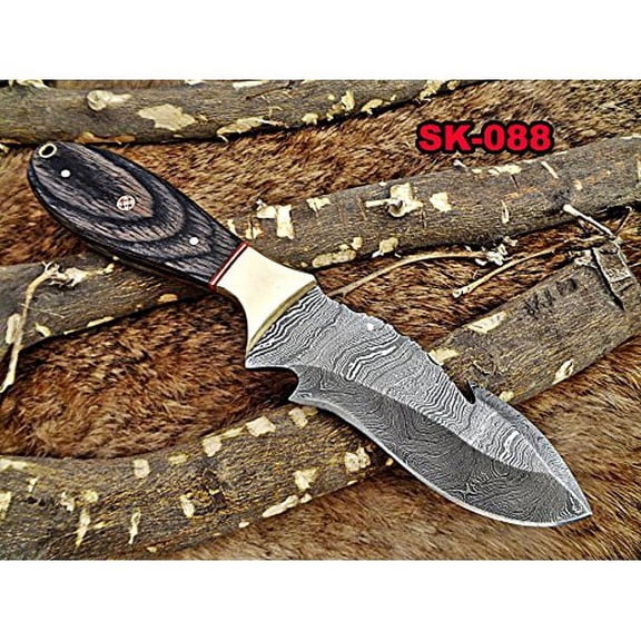 9" Long hand forged Damascus steel full tang skinning Knife with gut hook, 2 tone Dollar wood with Brass Bolster, Cow hide Leather sheath