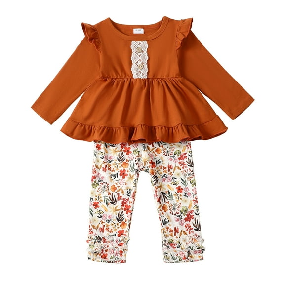 9 Months Baby Girls Clothes 12 Months Girls 2PCS Fall Winter Outfits Set Infant Girls Long Sleeve Top Floral Pants Set Brown