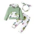thumbnail image 1 of 9 Months Baby Girls Clothes 12 Months Girls 3PCS Fall Winter Outfits Flower Print Infant Girls Long Sleeve Hoodie Top Pants Headband Set Green, 1 of 7