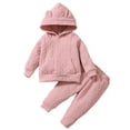 thumbnail image 1 of 9 Months Baby Girls Fall Winter Outfits Set 12 Months Girls 2PCS Hoodie Outfit Solid Color Infant Girls Long Sleeve Top Pants Set Pink, 1 of 8
