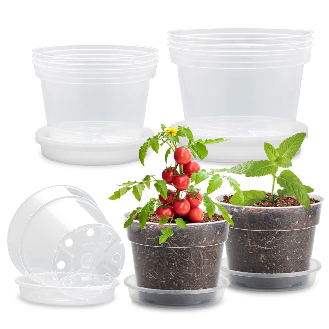 9 Pack 8/7/6 Inch Clear Pots For Plants With Saucer Transparent Plastic ...