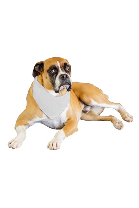 9 Pack Solid Polyester Dog Neckerchief Triangle Bibs - Extra Large (White)