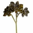 thumbnail image 1 of 9 Pack: Succulent Pick by Ashland, 1 of 2