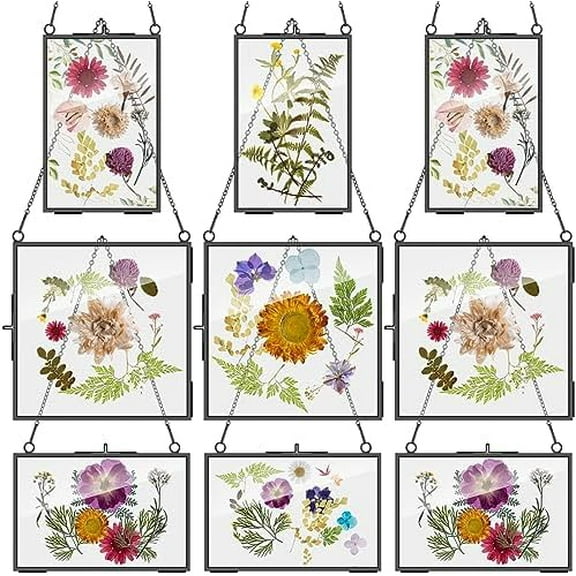 9 Pcs Glass Frame for Pressed Flowers 6x4 4x6 6x6 in Black Hanging Picture Frames Metal Floating Double Glass Display Frame with Chain for Dried Flower Plant Specimen DIY Artwork Wall Decor