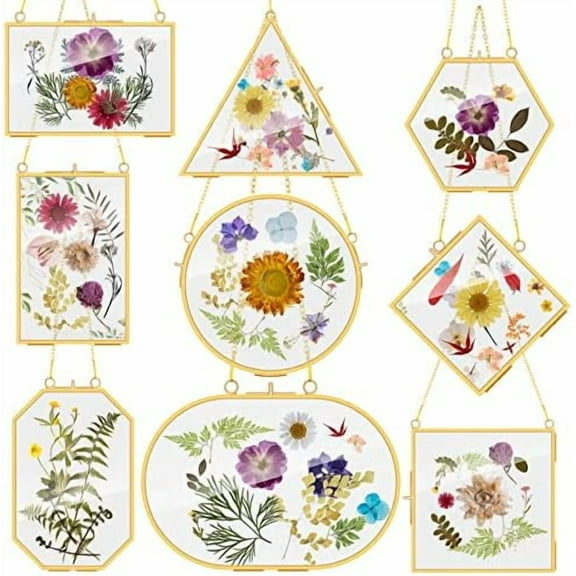 9 Pcs Pressed Flowers Glass Frames Double Glass Hanging Floating Frames Gold DIY Brass Artwork Display Frames for Dried Plant Flowers Specimen Gallery Photo Display Wall Decor