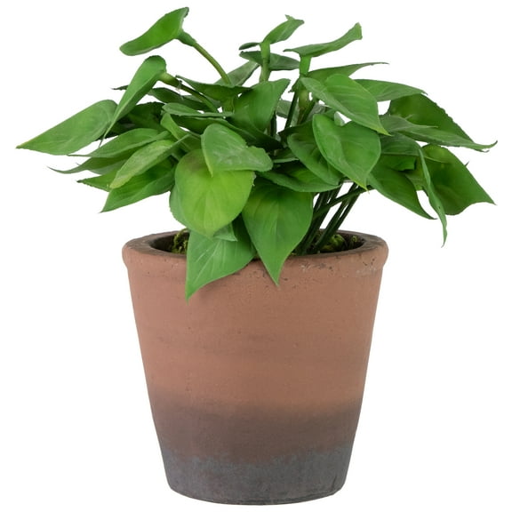 9" Peperomia Watermelon Begonia Artificial Spring Plant in Weathered Pot