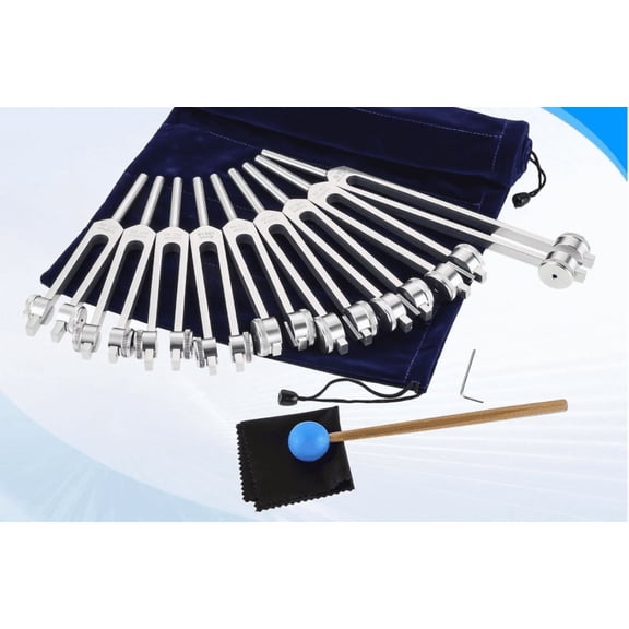9-Piece Weighted Chakra Tuning Fork Set with Soul Star & Earth Star Sound