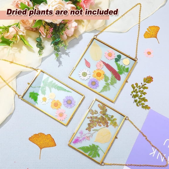 9 Pieces Double Glass Frame for Pressed Flowers Hanging Picture Frames Photo Display Gold Metal Brass Floating Frame with Chain for Artwork Art Specimen Wall Plant Gallery, 3 Sizes