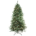 thumbnail image 1 of 9' Pre-Lit Washington Frasier Full Artificial Christmas Tree - Clear Lights, 1 of 4