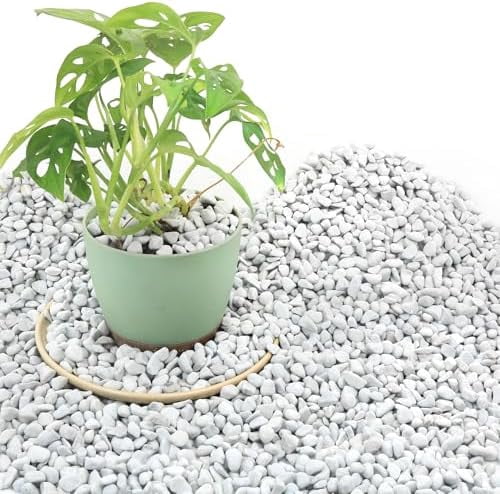 9 Quarts Chunky Perlite for Plant Soil Amendment for Potting Soil, Improves Drainage and Aeration for Soil, Ideal for Succulents, Orchid, Flower Plants (1/4 inch)