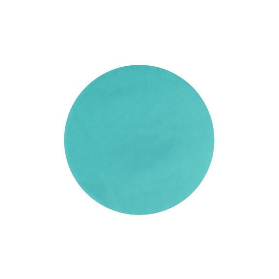 9" Robin's Egg blue Tulle Circles Robins Egg Blue (50 Pack)