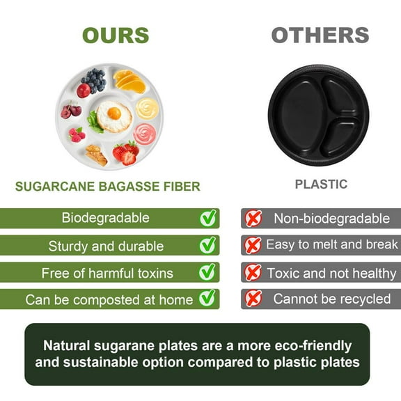 9-Section Round Serving Tray | Heavy-Duty Sugarcane Plate for Weddings, Parties & Holidays | Eco-Friendly & Durable Event Tableware