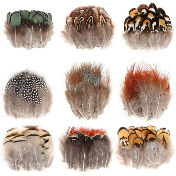 9 Styles Assorted Craft Feathers (180Pcs), Natural Chicken Feathers for DIY Earring Wings Dream Catcher Crafts Activities Project Wedding Party Home Decoration Carnival Costume Party Mask Decoration