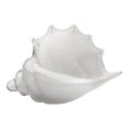 thumbnail image 1 of 9" White Blown Glass Triton Shell Table Top Decoration, 1 of 3