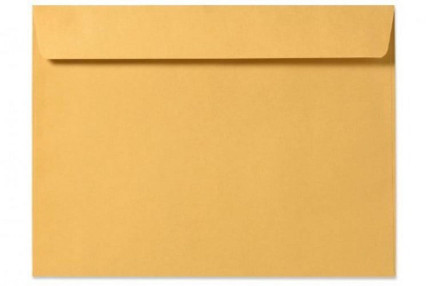 Custom Printed/Plain) 10 X 13 Booklet Envelope 28# Brown Kraft With Regular Gum - No-printing / 500
