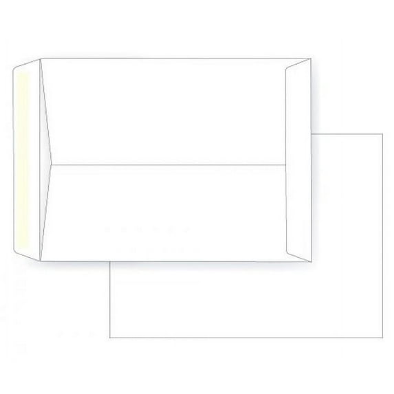 9 X 12 Catalog Envelope - Open End - 28# White - (9 x 12 ) - Large Envelope Series (Jumbo) (Box of 500)