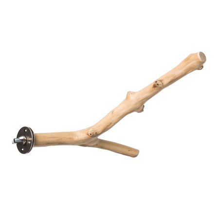 Prevue Pet Products 9" Y-Branch Coffea Wood Bird Perch 1050