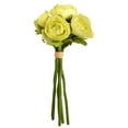 thumbnail image 1 of 9 in. Mini Green Ranunculus Spray, 1 of 1