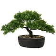 thumbnail image 1 of GnFlus 9 inch Artificial Bonsai Tree Juniper Faux Plants Indoor Small Fake Plants Decor with Ceramic Pots, 1 of 6