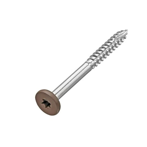 #9 x 1-7/8 in. Stainless Steel Star Drive Pan Head Composite Fascia Screw (100-Pack) (Brazilian Ipe)