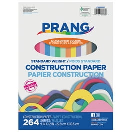 Construction Paper, 9 x 12, Assorted Colors, 264/Pack Construction Paper, 9 x 12, Assorted Colors, 264/Pack
