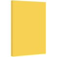 thumbnail image 1 of 9 x 12 Inches Colored Cardstock Paper 67lb, Vellum Bristol - 50 Sheets Per Pack. (Goldenrod), 1 of 4