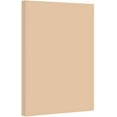 thumbnail image 1 of 9 x 12 Inches Colored Cardstock Paper 67lb, Vellum Bristol - 50 Sheets Per Pack. (Tan), 1 of 4