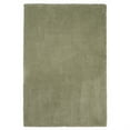thumbnail image 1 of 9' x 13' Polyester Sage Area Rug, 1 of 5