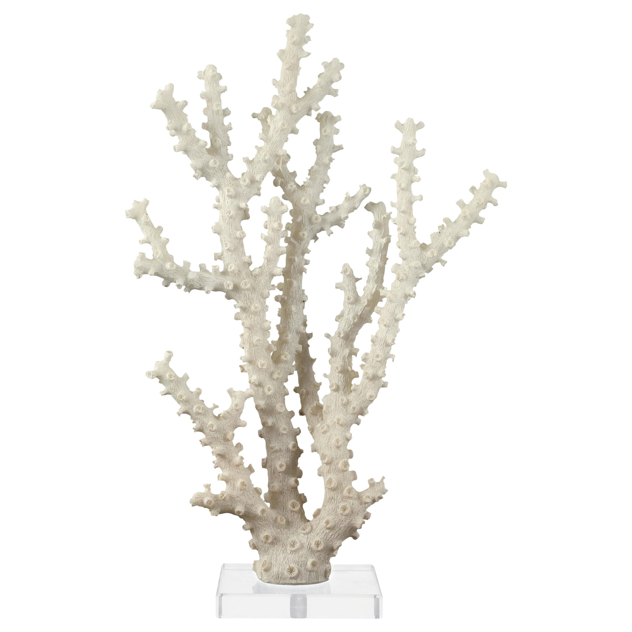 9" x 14" Cream Polystone Coral Sculpture with Clear Acrylic Base, by DecMode