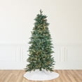 thumbnail image 1 of Northlight Real Touch™️ Pre-Lit Slim Washington Frasier Fir Artificial Christmas Tree - 9' - Clear, 1 of 9