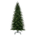 thumbnail image 1 of Vickerman G230880 9 ft. x 54 in. Washington Fraser Fir Christmas Tree - 3589 Tip Count, 1 of 1