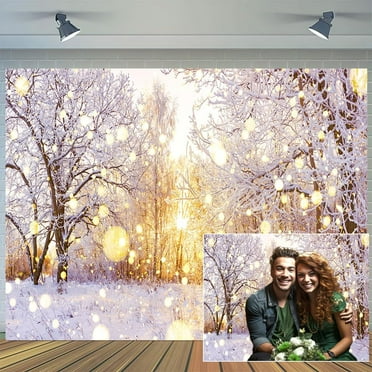 9 x 6 ft Winter Snow Scene Wonderland Backdrop Falling Snowflake Warm Sunlight Bokeh Glitter Dots Photography Background Adult Kids Winter Scenery Christmas New Year Photo Booth Studio Props