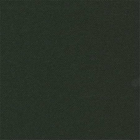 9009 58 in. Polyester with PVC Coated Fabric, Black