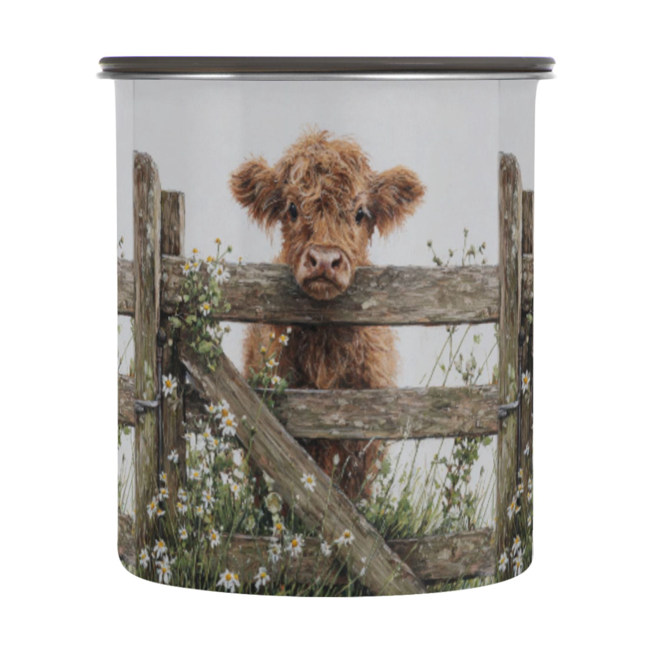 900ml Stainless Steel Food Storage Containers Cute Highland Cow Peeking ...