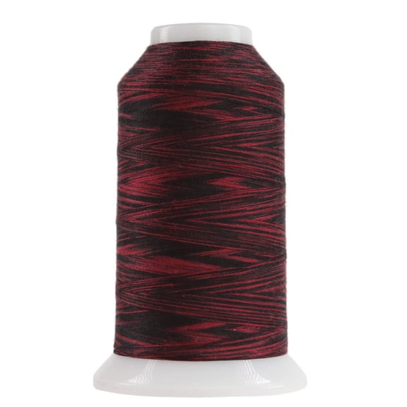 Omni Variegated Polyester Thread 40wt 2000yd Ladybug
