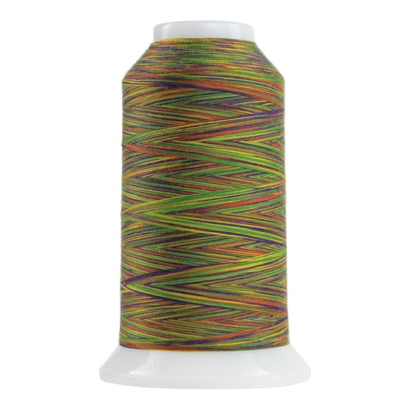 Omni Variegated Polyester Thread 40wt 2000yd Zumba