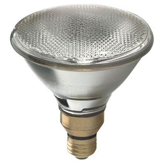 90W Energy-Efficient Halogen PAR38 Floodlight, Pack of 2