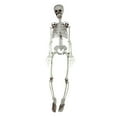 90cm Human Skeleton Ornament Party Bar Props Full Body Skeleton Props