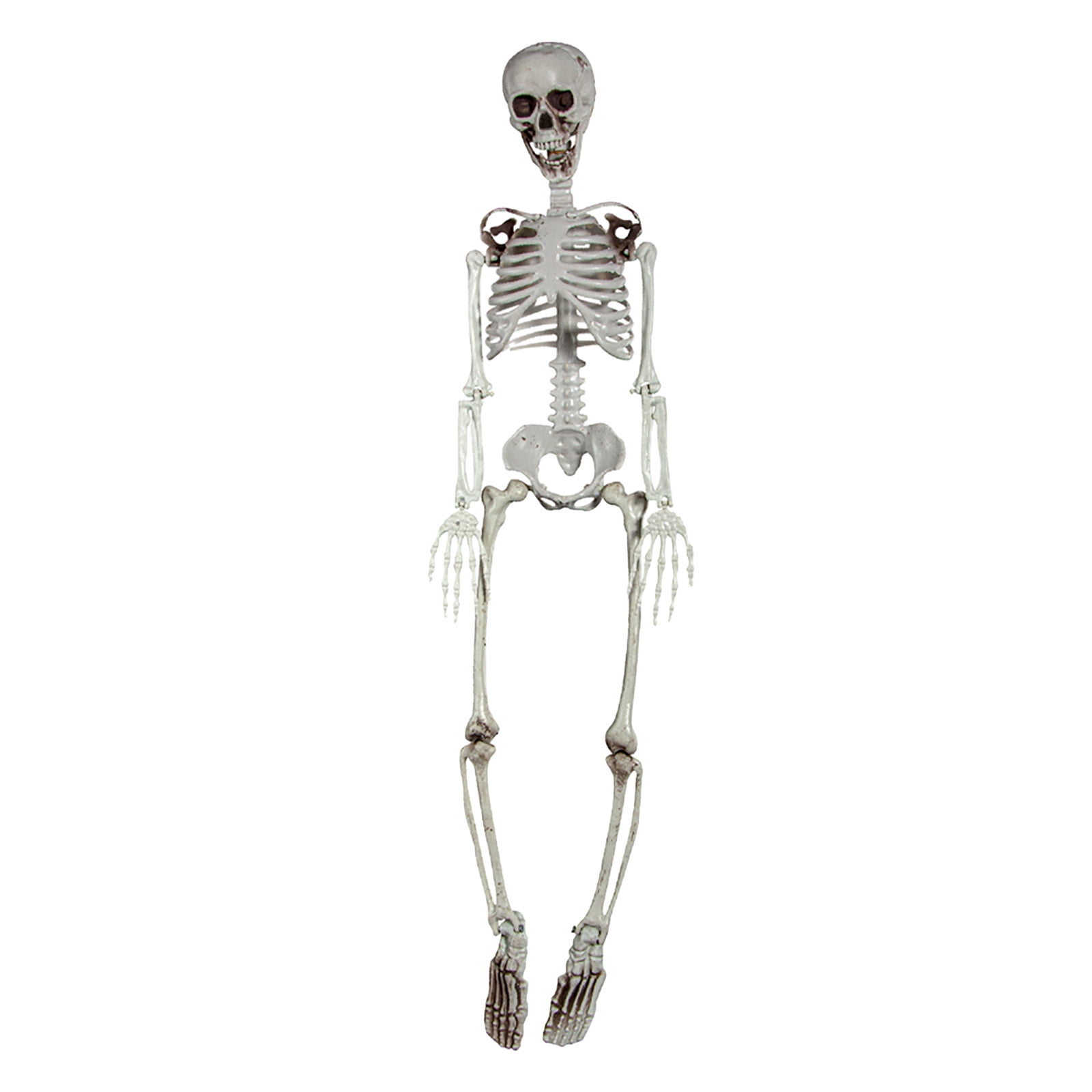 90cm Human Skeleton Ornament for Halloween Party and Events - Realistic ...