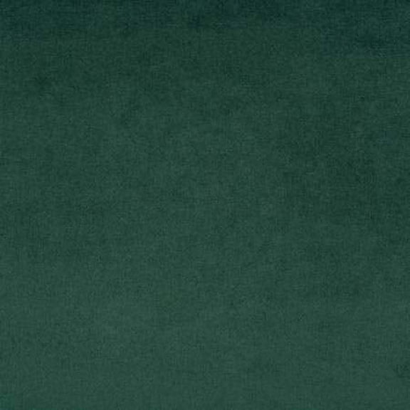 90In - Wide Backing - Evergreen - Cuddle - Shannon Fabrics - C3-Everg-90In