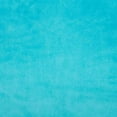 thumbnail image 1 of 90In - Wide Backing - Turquoise Blue - Cuddle - Shannon Fabrics - C3-Belize, 1 of 1