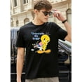 thumbnail image 1 of 90s Vintage Looney Tunes Sylvester and Tweety Warner Bros. T-Shirt Unisex, for men & women, up to size 5XL, 1 of 2